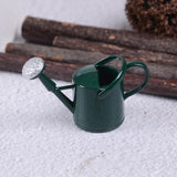 Metal Watering Can