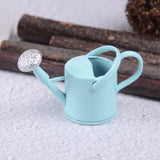 Metal Watering Can