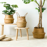 Bamboo Baskets planter