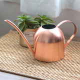 Stainless Steel Watering Can