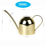 Stainless Steel Watering Can